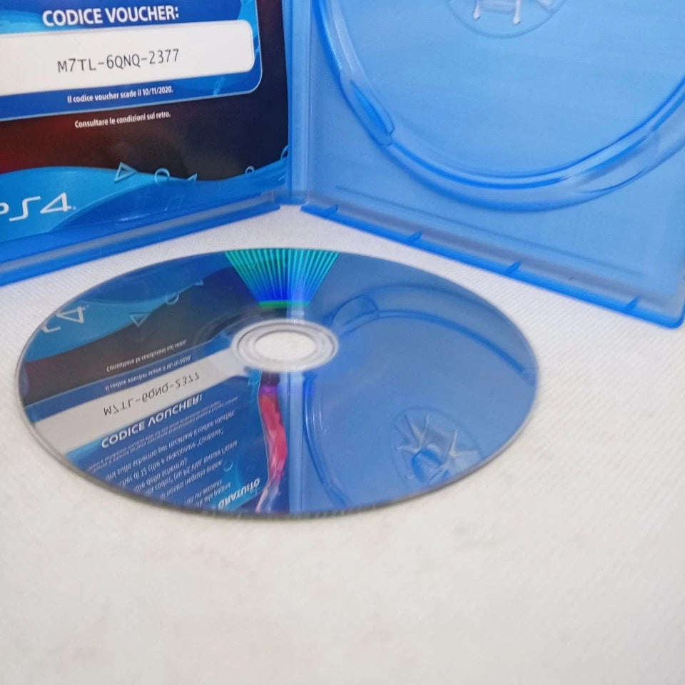 The Inpatient Ps4